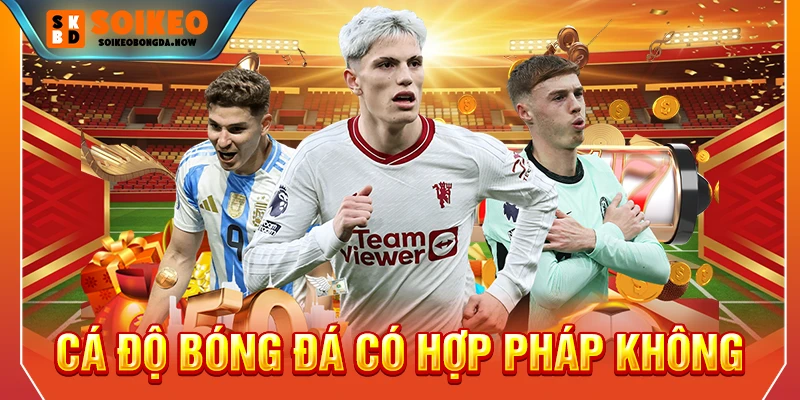 cá độ bóng đá có hợp pháp không