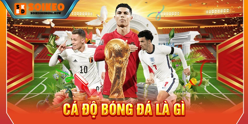 cá độ bóng đá là gì