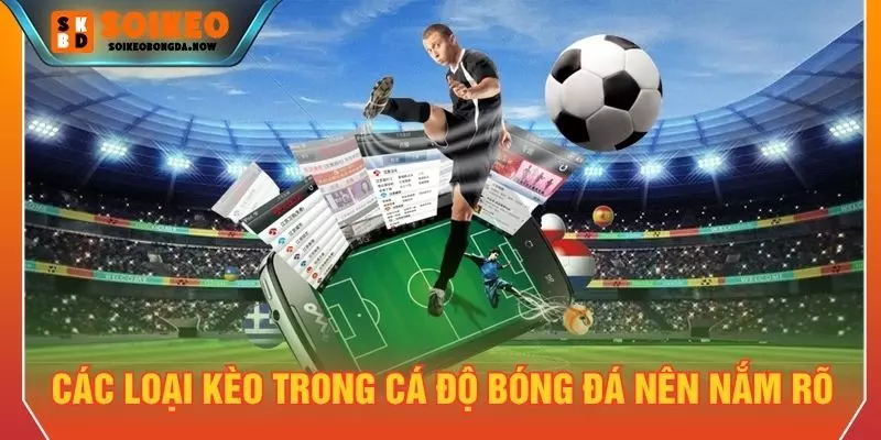 Các loại kèo trong cá độ bóng đá nên nắm rõ