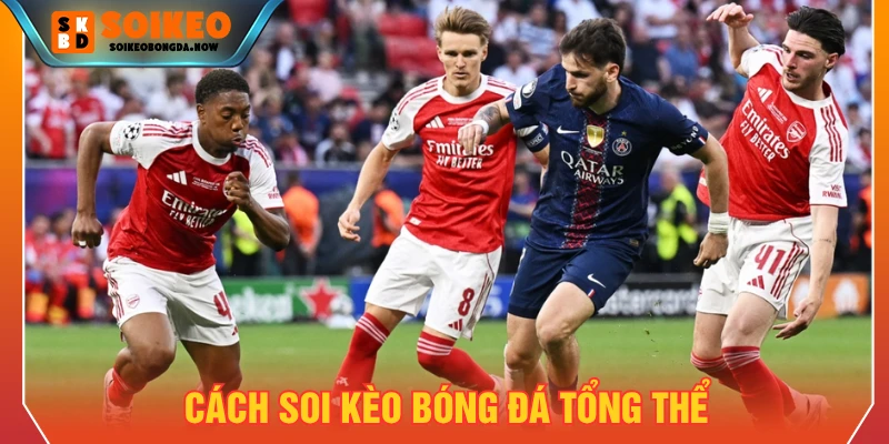 Cách soi kèo bóng đá từ dữ liệu đến nhận định tổng thể