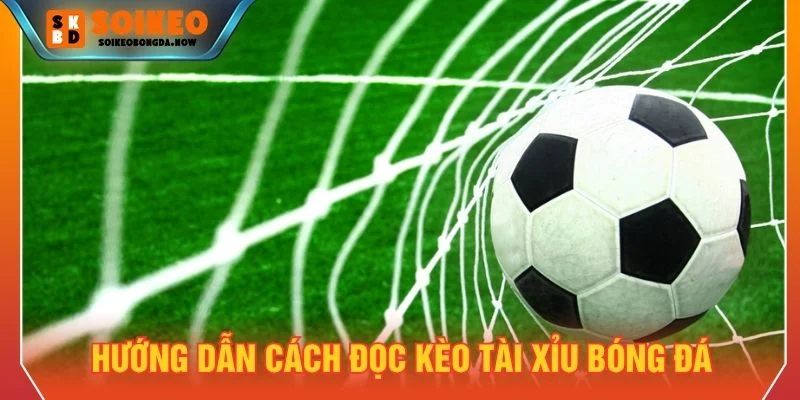Cách xem kèo tài xỉu tương đối đơn giản