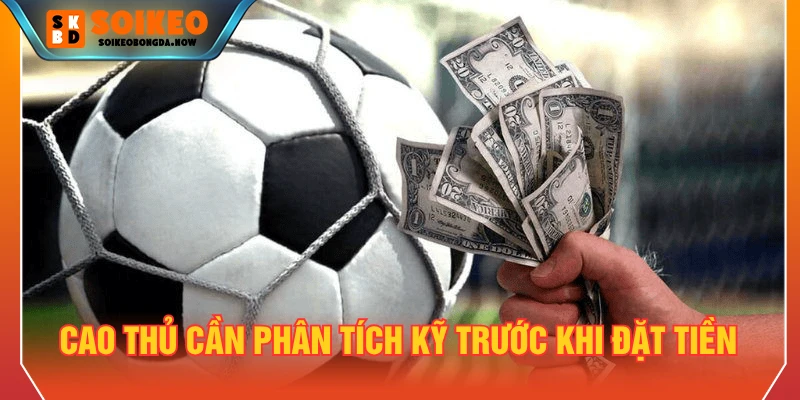 Cao thủ cần phân tích kỹ trước khi đặt tiền