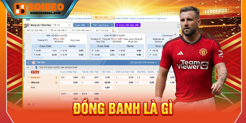 Đồng banh là gì
