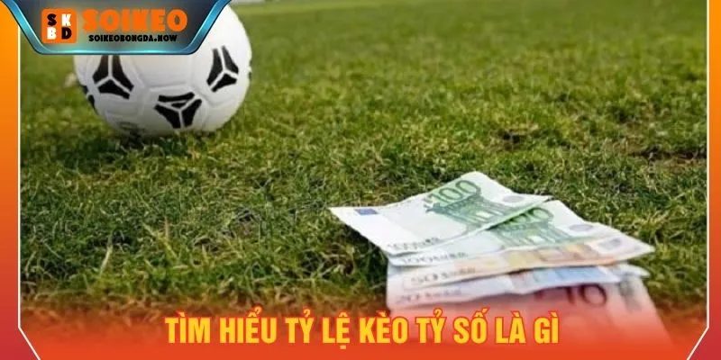 Giới thiệu cơ bản về tỷ lệ kèo tỷ số