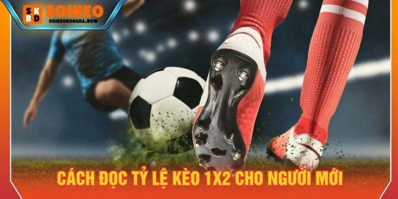 Hướng dẫn cách đọc kèo 1X2 cho người mới
