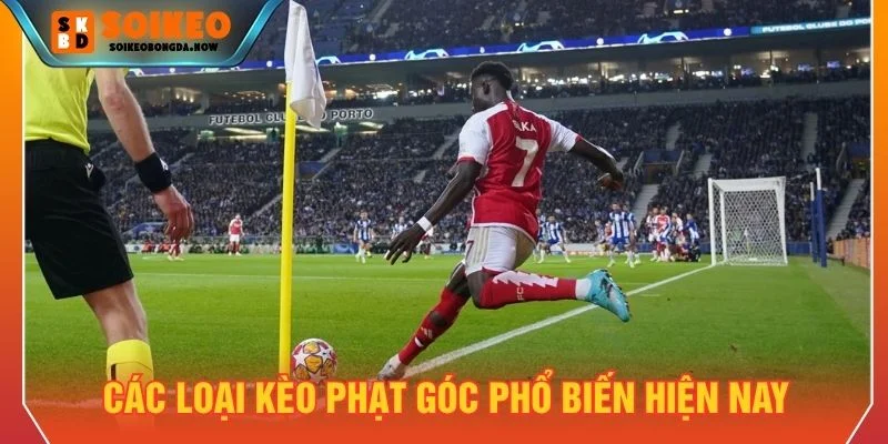 Kèo phạt góc được chia thành nhiều loại