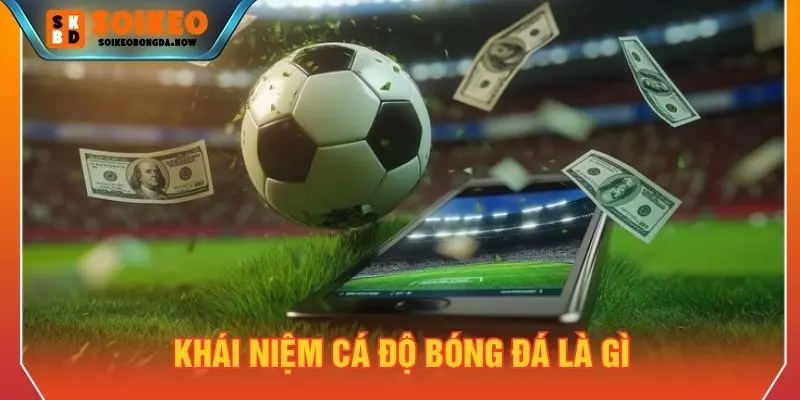 Khái niệm cá độ bóng đá là gì