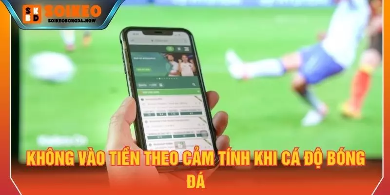 Không vào tiền theo cảm tính khi cá độ bóng đá