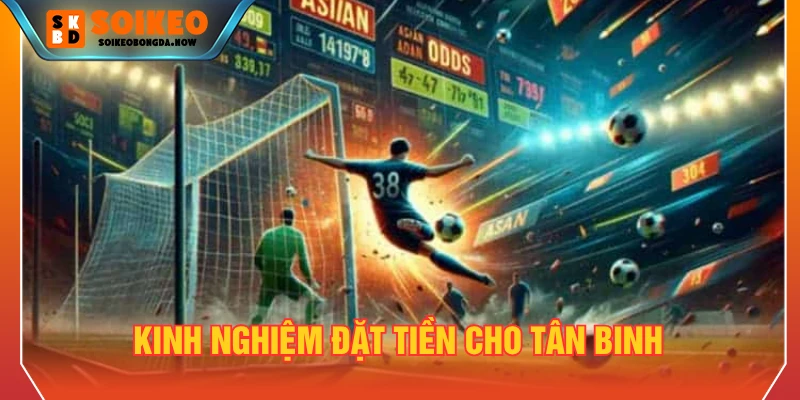 Kinh nghiệm đặt tiền cho tân binh