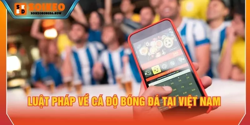 Luật pháp về cá độ bóng đá tại Việt Nam 
