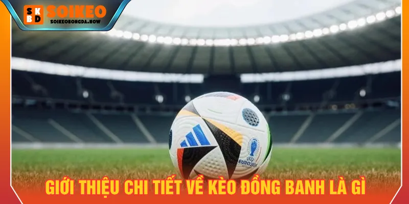 Nắm rõ về đồng banh là gì khi tham gia cá cược bóng đá