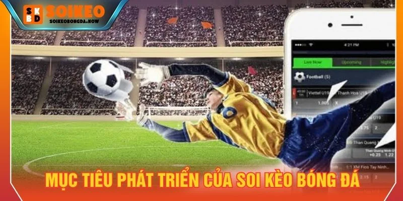 Nền tảng có định hướng phát triển rõ ràng