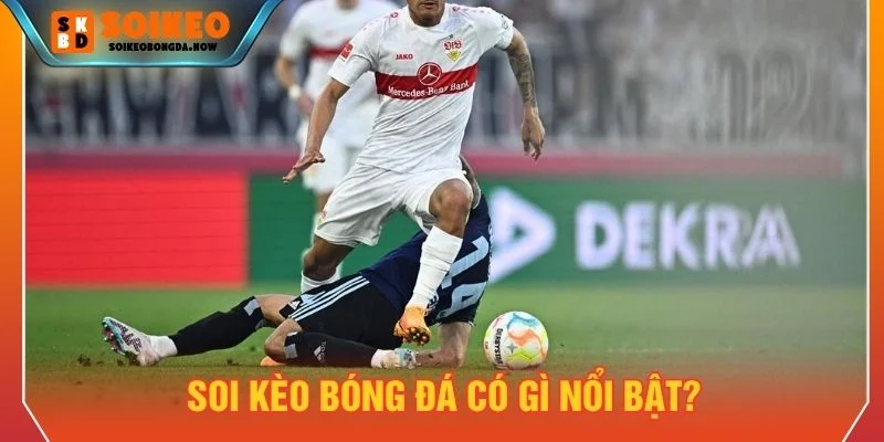 Nền tảng cung cấp thông tin nhận định trước trận với nhiều dữ liệu
