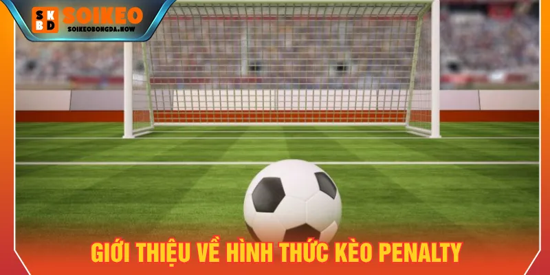 Người mới nắm rõ cách chơi kèo penalty cá cược bóng đá