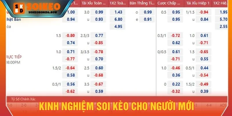 Người mới nên chơi từ các tỷ lệ chính và đơn giản