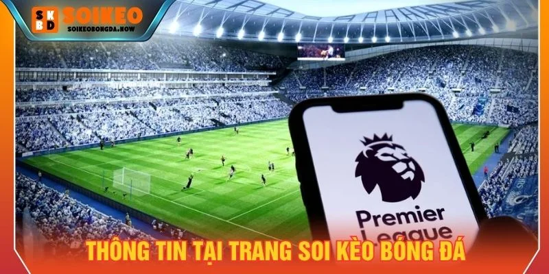 Soi Kèo Bóng Đá cập nhật kết quả các giải đấu hàng đầu