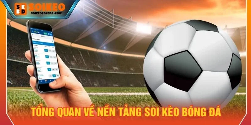 Soi kèo bóng đá là nền tảng cung cấp thông tin chuyên nghiệp
