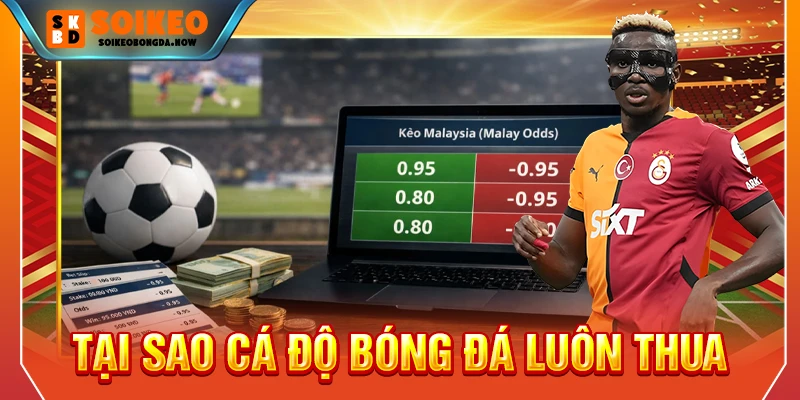tại sao cá độ bóng đá luôn thua
