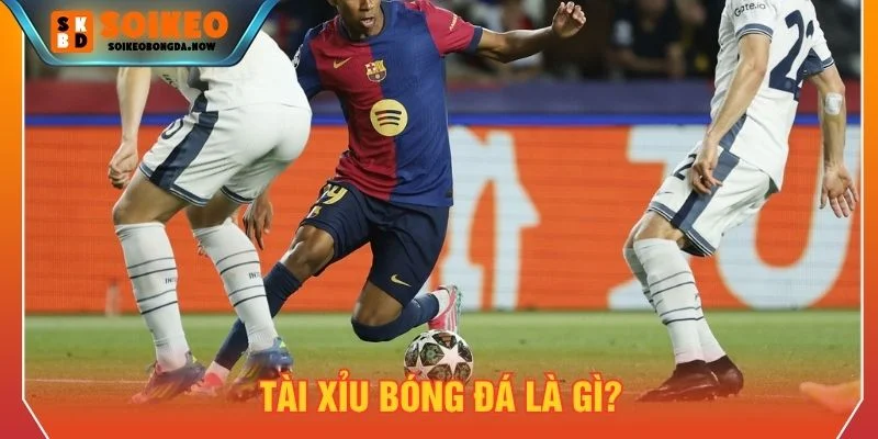 Tài xỉu bóng đá là loại kèo phổ biến hiện nay