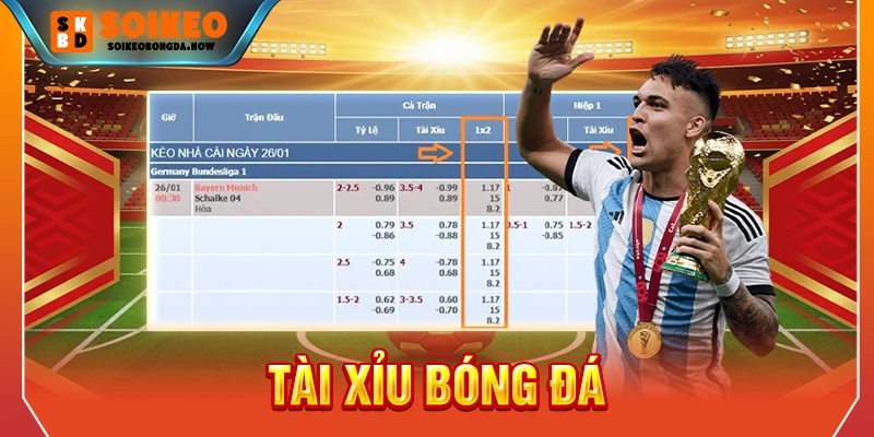 tài xỉu bóng đá