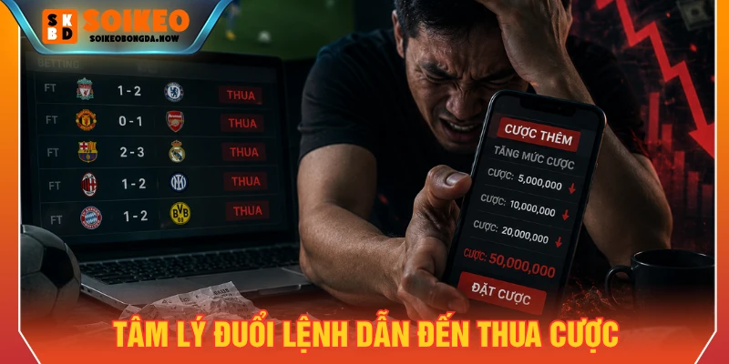 Tâm lý đuổi lệnh là nguyên nhân phổ biến dẫn đến thua cược