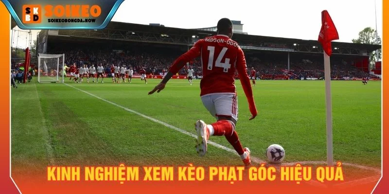 Tham khảo kinh nghiệm xem kèo hiệu quả