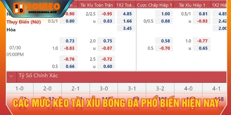 Thông tin chi tiết về các mức kèo tài xỉu 