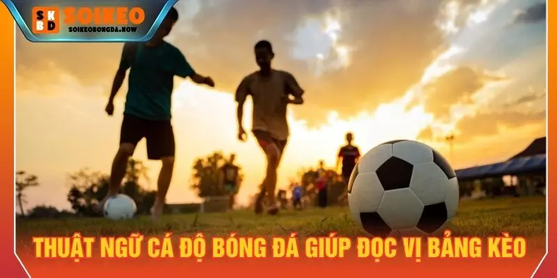 Thuật ngữ cá độ bóng đá giúp đọc vị bảng kèo