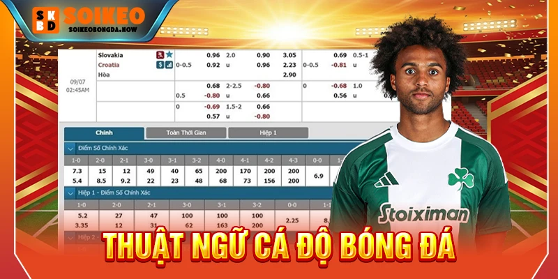 thuật ngữ cá độ bóng đá