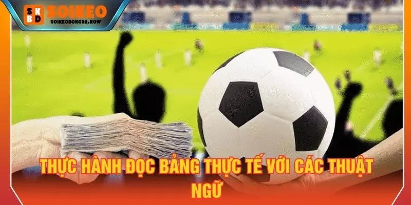 Thực hành đọc bảng thực tế với các thuật ngữ