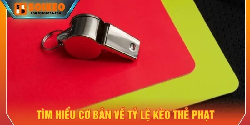 Tìm hiểu cơ bản về tỷ lệ kèo thẻ phạt là gì