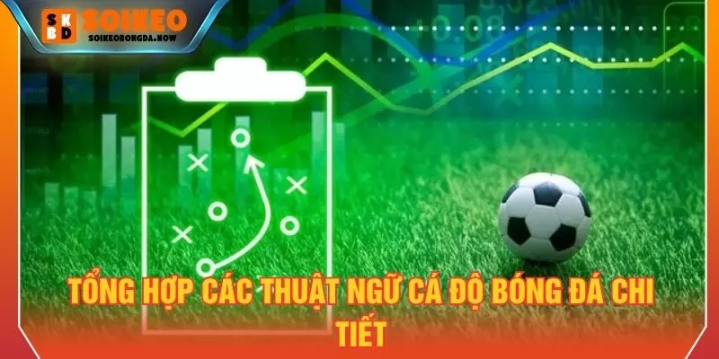 Tổng hợp các thuật ngữ cá độ bóng đá chi tiết