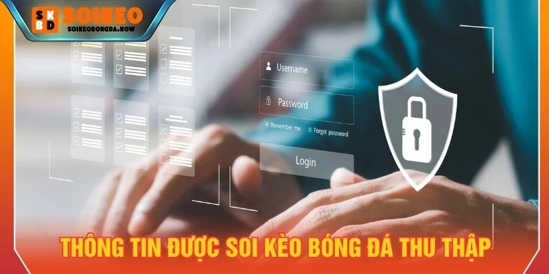 Website cam kết chỉ thu thập những dữ liệu cần thiết