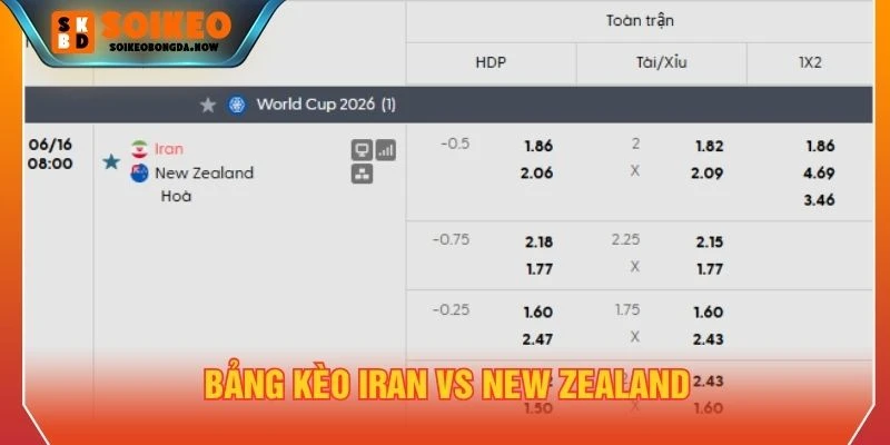 Bảng kèo Iran vs New Zealand 16/06/2026 Bảng kèo Iran vs New Zealand 16/06/2026
