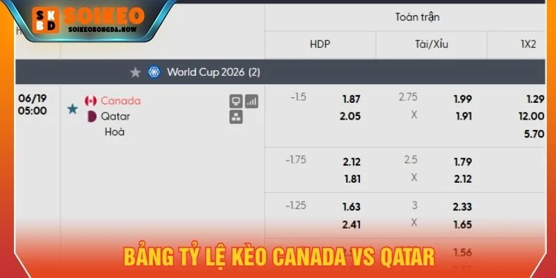Bảng tỷ lệ kèo Canada vs Qatar Bảng tỷ lệ kèo Canada vs Qatar
