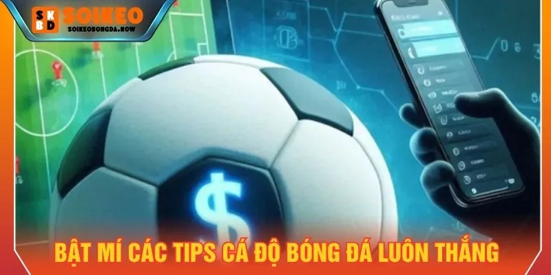Các chiến thuật vào tiền hợp lý trong các kèo bóng đá
