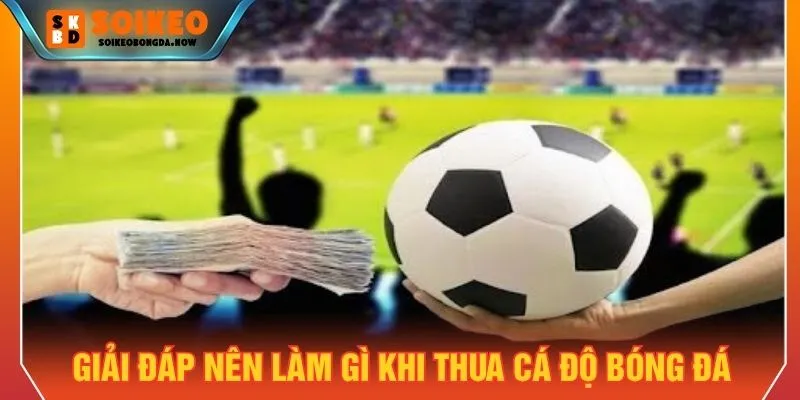 Giải đáp câu hỏi nên làm gì khi thua cá độ bóng đá