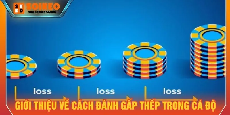 Giới thiệu cơ bản về các cách đánh gấp thếp trong cá độ