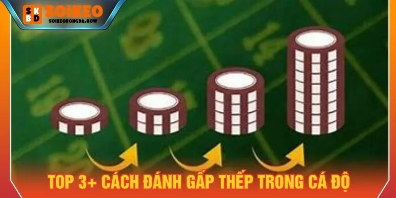 Top 3+ cách đánh gấp thếp trong cá độ hay nhất năm 2026