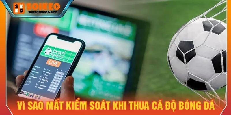 Vì sao người chơi thường mất kiểm soát khi thua cá độ bóng đá